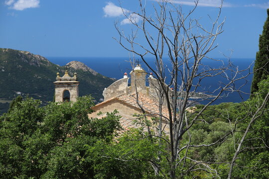 Couvent Saint Dominique, Corse