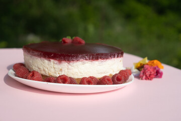 Delicious cheesecake on a plate and a pink background decorated with raspberries isolated