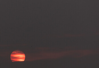 Blood red sunset seen through polluted atmosphere caused by forest fire