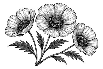 Elegant single black flower with detailed petals and stem in dark background