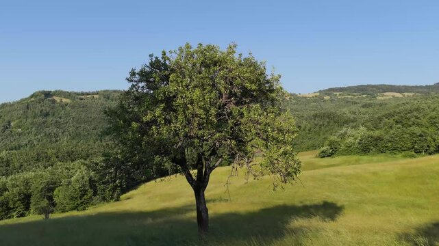 Paesaggio con drone appennino tosco emiliano