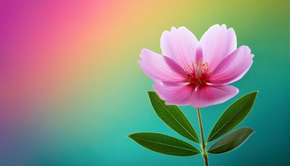 Obraz premium a single pink flower with green leaves on a colorful background