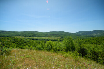 landscape in the mountains