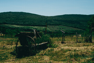 Fototapeta premium old tractor in field