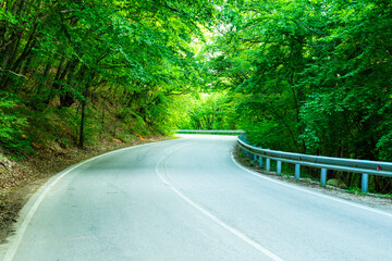 road in the forest