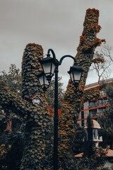 street lamp on the street