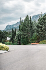 mountain road in the mountains