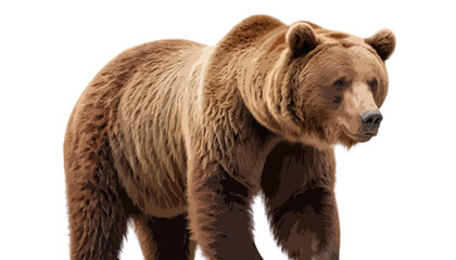 Fototapeta premium Big brown bear isolated on transparent background 