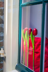 Symbolic plastic tulips on the windowsill of a house in Deventer, Netherlands. High quality photo