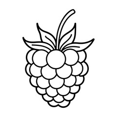 Illustration of a raspberry with leaves and stem in black outline on a white background design vector
