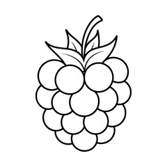 Illustration of a raspberry with leaves and stem in black outline on a white background image design