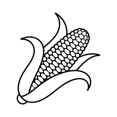 Illustration of an ear of corn with husks in black and white outline vector design style isolated object