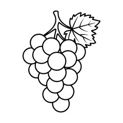 Illustration of a grape bunch with a leaf and stem in a simple black and white outline design style