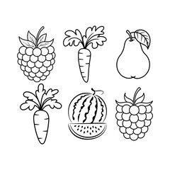 Outlined drawing featuring a raspberry, carrot, pear, watermelon and another raspberry and carrot