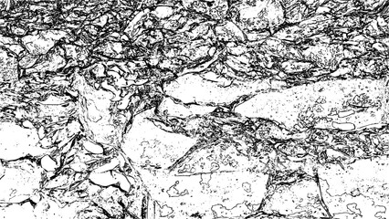Rocky forest soil with leaves line art