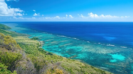 Breathtaking aerial view of a tropical coastline with vibrant turquoise waters