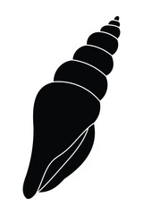 Spiral seashell on white background with intricate pattern.