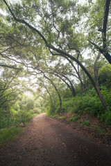 Claremont Wilderness Park Trail