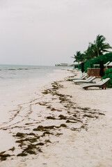 Relaxing on a peaceful beach with lounge chairs and gentle waves in a tropical setting at twilight