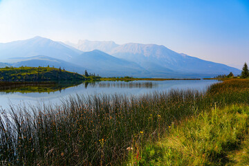 Fototapeta premium Athabasca River near the Jasper House National Historic Site in the Jasper National Park before the 2024 wildfire in Alberta, Canada