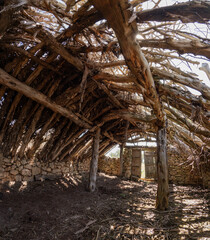 Angular view of the interior of an old livestock shelter, with a collapsed wooden beam roof, a ruin door at the background, chozon sabinero, ancient rural constructions, horizontal