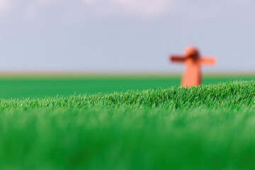 A Lone Scarecrow in a Vast Green Field