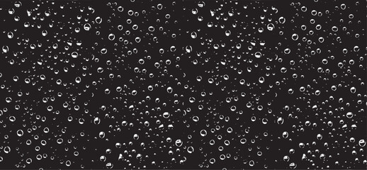 Small water drops texture vector. Rainy window overlay texture. Rain on glass background. Abstract halftone textured effect. Vector Illustration. EPS10.