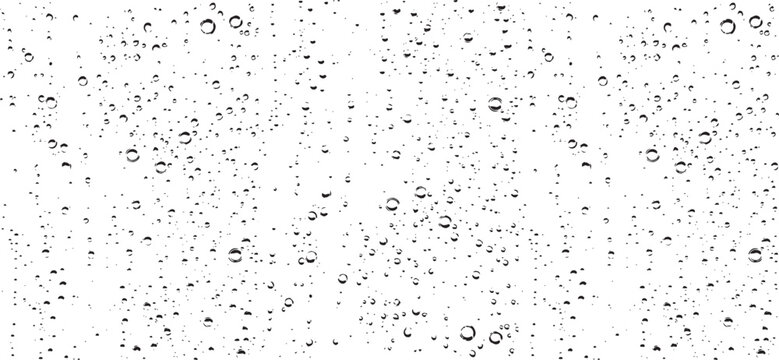 Small water drops texture vector. Rainy window overlay texture. Rain on glass background. Abstract halftone textured effect. Vector Illustration. EPS10.