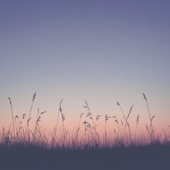 Obraz premium Silhouetted grass at sunset