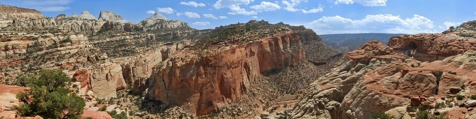 panoramic view of cliffs, eroded red rock, ferns nipple, cassidy's arch,  and the grand wash road on a sunny summer day from cassidy's arch trail in capitol reef national park, near torrey,  utah
