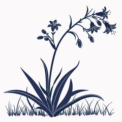 virginia spiderwort with leaves