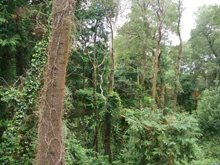 Naklejka premium Landschaft von Trapagaran Baskenland