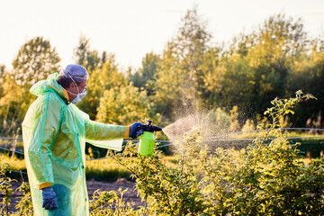 Manual garden sprayer with pump mechanism allows user to compress air and release liquid evenly...