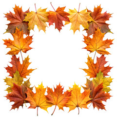 Autumnal maple leaf border frame arranged against a dark black background