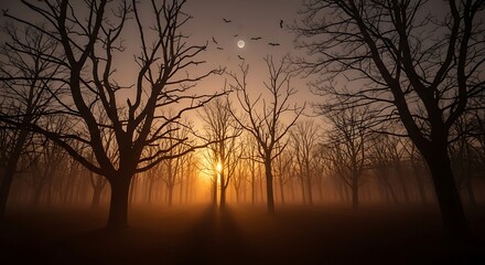 Naklejka premium Mystical Sunset Silhouetted Trees in an Eerie Fog-Shrouded Forest
