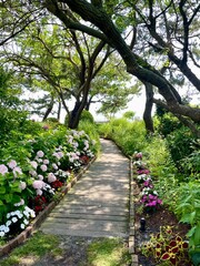 Pathway surrounded by Flowers and Trees