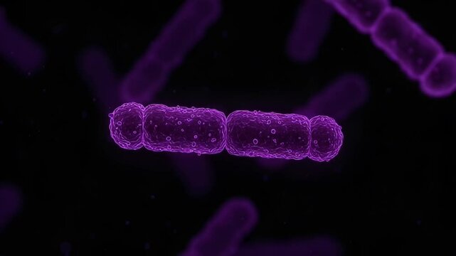 3D Render of Purple Bacteria Cells on a Dark Background for Scientific Medical and Biological Research