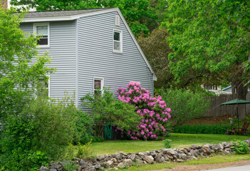 single family house in residential district 