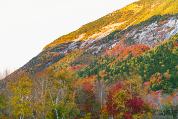 colorful mountain cliff in autumn
