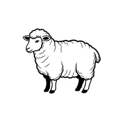 vector illustration of sheep