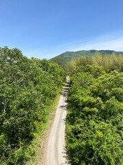 Obraz premium 吉野川沿いの道