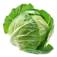 Fototapeta premium Fresh green cabbage with vibrant leaves, showcasing its natural texture and color. This vegetable is perfect for salads, stir fries, and various dishes, adding crisp and nutritious element to