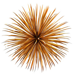 Vibrant, spiky starburst design featuring elongated, golden orange spikes radiating outward, creating dynamic and eye catching visual effect. This abstract shape can be used various creative