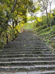 Obraz premium 眉山の山中