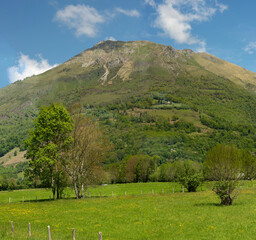 Pasture Beside Pyrenees Mountain, Lescun, France