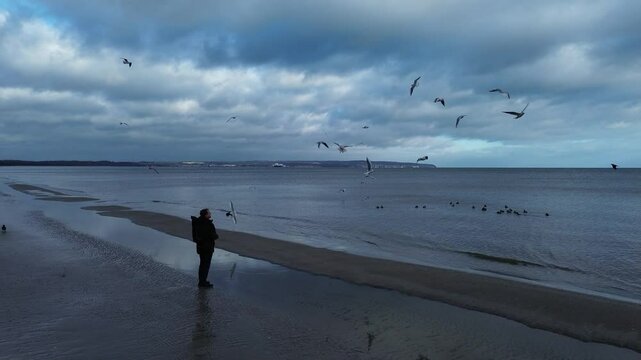 R&uuml;gen im Winter - M&ouml;wen in Prora