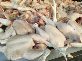 Close-up video of raw chicken parts piled together at a market or butcher shop, showcasing texture...