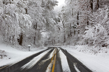 Creek in Winter Snow Scene
