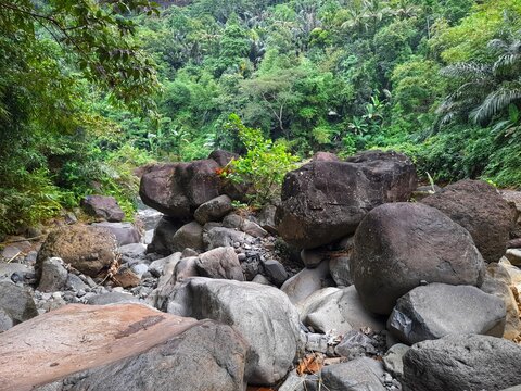 Large natural boulders scattered in a rocky riverbed surrounded by dense tropical forest, showcasing raw geological formations in a lush jungle environment.

 - Powered by Adobe