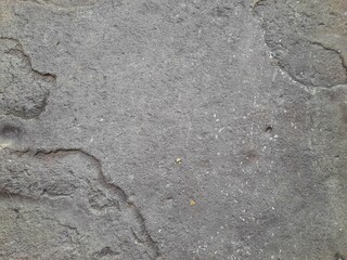 Close-up of a rock surface with patches of white lichen and moss, showing natural textures and...